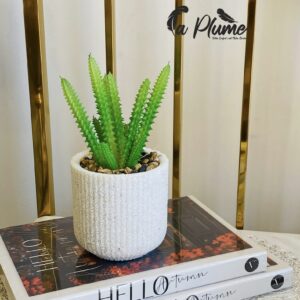 Plante Succulente En Pot Artificiel