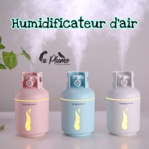 Humidificateur Design et Mignon