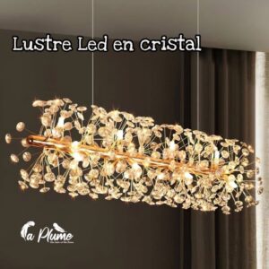 Lustre cristal lumineux LED – La Plume