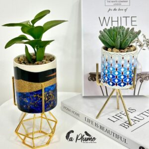 Pots décoratifs modernes et élégants