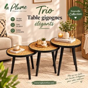 Ensemble de 3 Tables Basses Gigognes