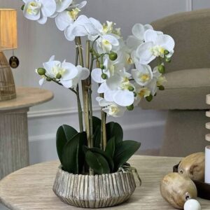plant artificiel L'orchidée Phalaenopsis