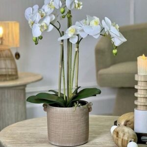 plant orchidée artificielle blanche
