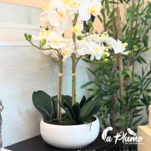 Plant orchidée artificielle