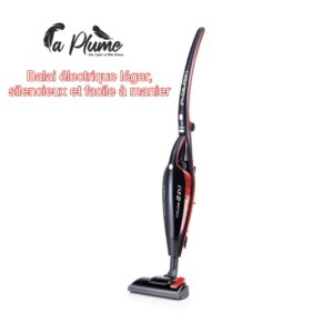 Balai Électrique Léger 2-en-1 Evolution Cyclonic