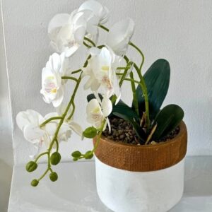 Orchidée Artificielle