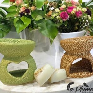 Brûleur et Diffuseur d'Arôme