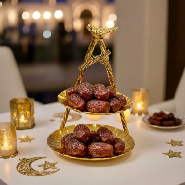 605237d0-ae58-470e-8619-1303fa4e10a9