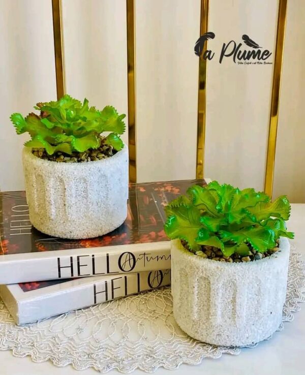 WhatsApp Image 2026-01-05 at 11.31