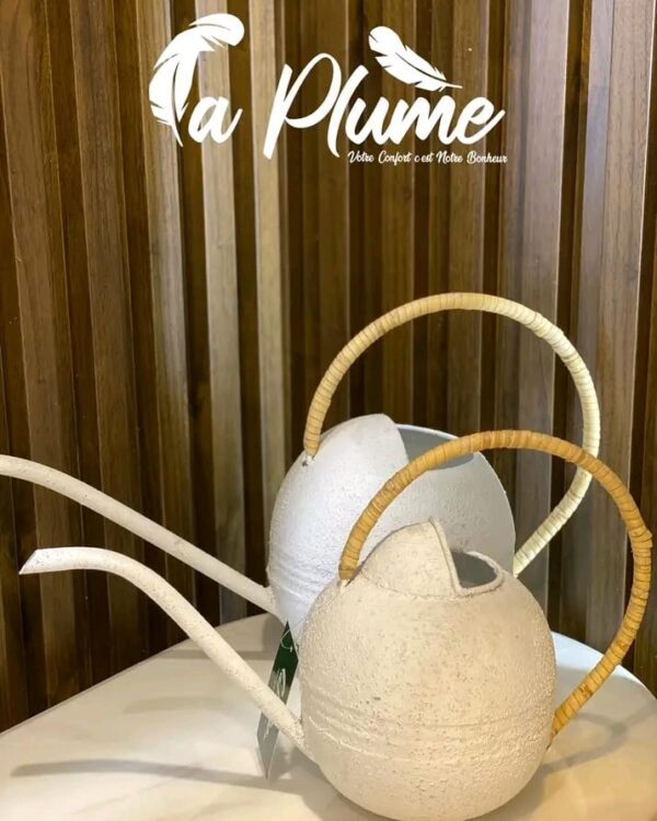 WhatsApp Image 2026-01-05 at 11.51