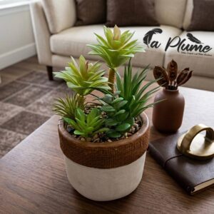 Composition de Succulentes Artificielles en Pot Bicolore