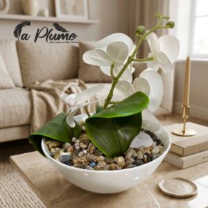 L'Orchidée Blanche Royale en Coupe de Porcelaine