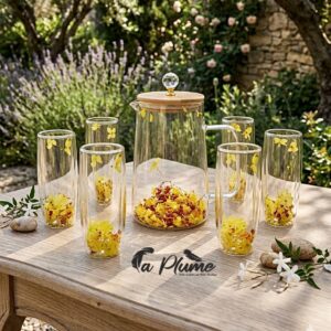 Ensemble Carafe et Verres à Double Paroi