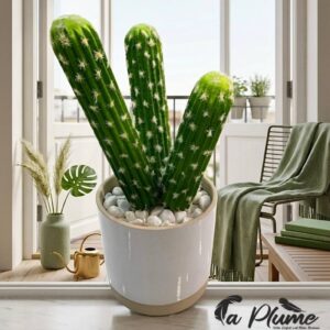 Cactus San Pedro Artificiel en Pot Minimaliste
