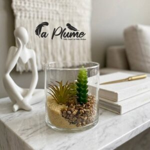 Terrarium Succulentes en Verre