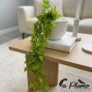 Chute de Lierre Émeraude en Pot Design « Albâtre »