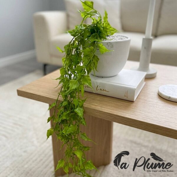 7fc8bcd3-02bb-4c4e-9dc5-7be3dbcdcca4