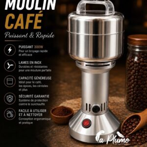 Moulin à Café Professionnel DSP