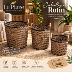 Corbeilles en Rotin en 3 dimension