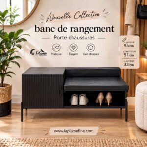 Banc de Rangement Porte chaussures