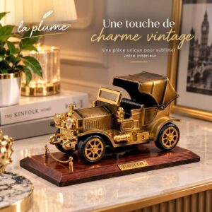 Décor voiture Élégance