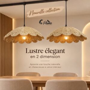 Lustre élégant en 2 dimension